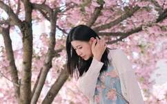 苏映雪苏雨柔小说